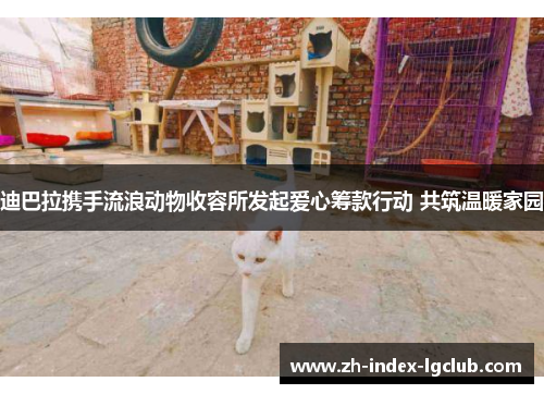 迪巴拉携手流浪动物收容所发起爱心筹款行动 共筑温暖家园