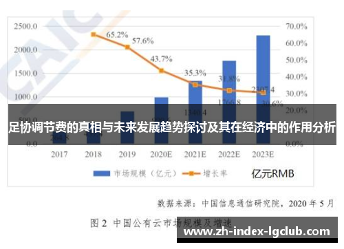 足协调节费的真相与未来发展趋势探讨及其在经济中的作用分析